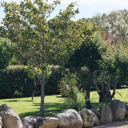 Les Jardins De Santa Giulia - Charmante Chambre D'Hote Porto-Vecchio  Buitenkant foto